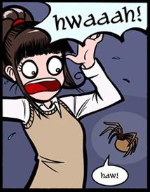 Spiders Are Scary