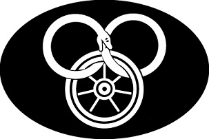 Literature / The Wheel of Time