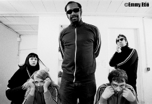 Music / The Dirtbombs