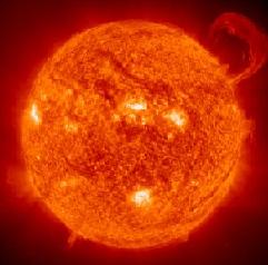 Heliotropes