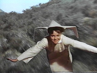 Series / The Flying Nun