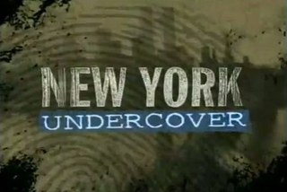Series / New York Undercover