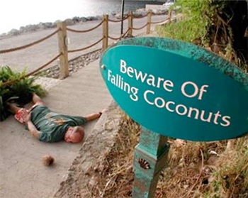 Coconut Meets Cranium