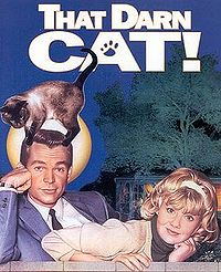 Film / That Darn Cat!