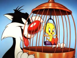 Western Animation / Sylvester the Cat and Tweety Bird
