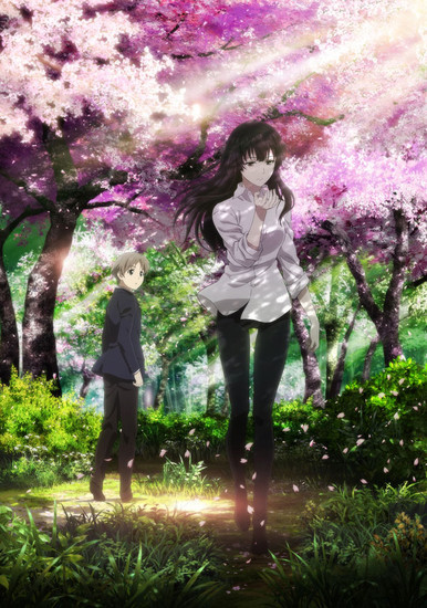 Literature / Beautiful Bones: Sakurako's Investigation