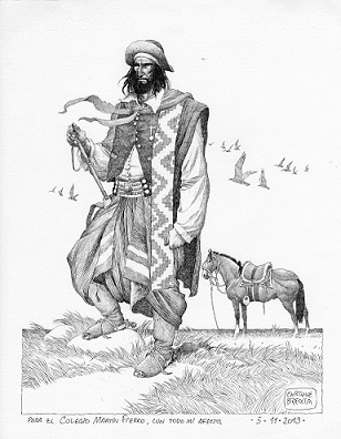 Literature / Martín Fierro