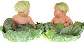 Creator / Anne Geddes
