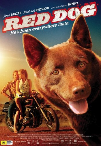 Film / Red Dog
