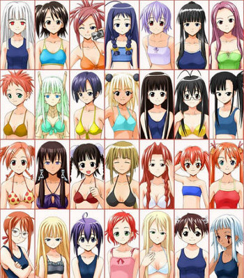 Swimsuit Index