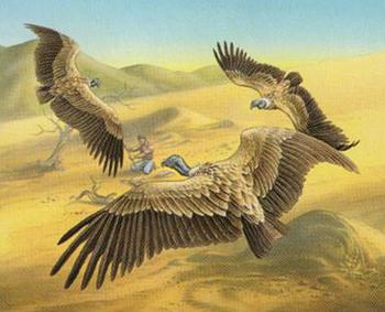 Circling Vultures
