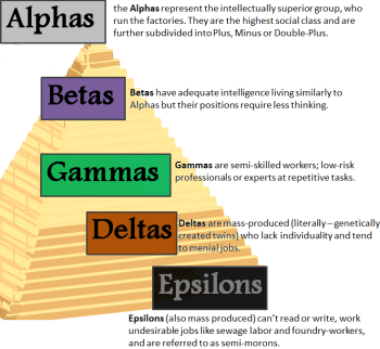 Fantastic Caste System