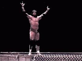 Wrestling / Jimmy Snuka
