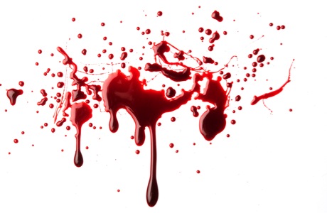 Gory Discretion Shot