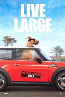 Film / Marmaduke