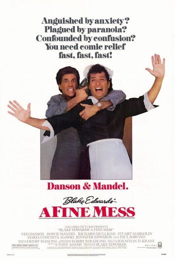 Film / A Fine Mess