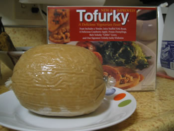 Future Food Is Artificial