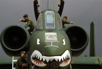Nose Art