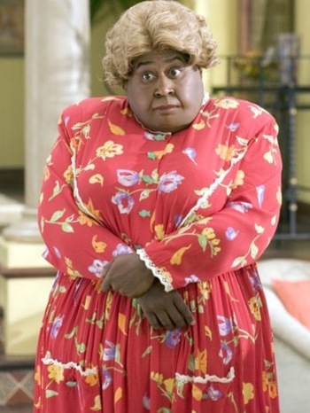 Film / Big Momma's House