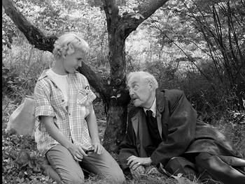Film / Wild Strawberries