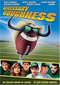 Film / Necessary Roughness