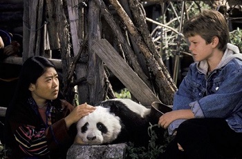 Film / The Amazing Panda Adventure
