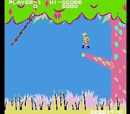Video Game / Jungle Hunt