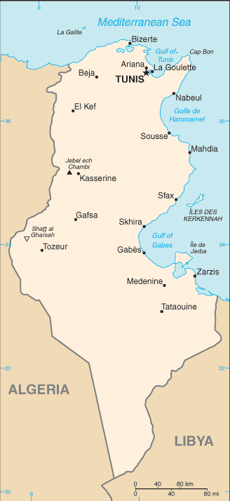 Useful Notes / Tunisia