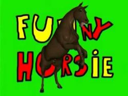 Web Animation / Funny Horsie