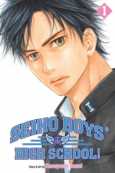Manga / Seiho Boys High School