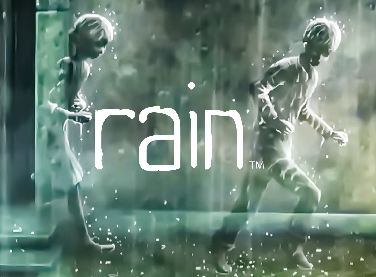 Video Game / Rain