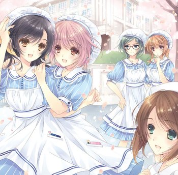 Visual Novel / Nurse Love Addiction